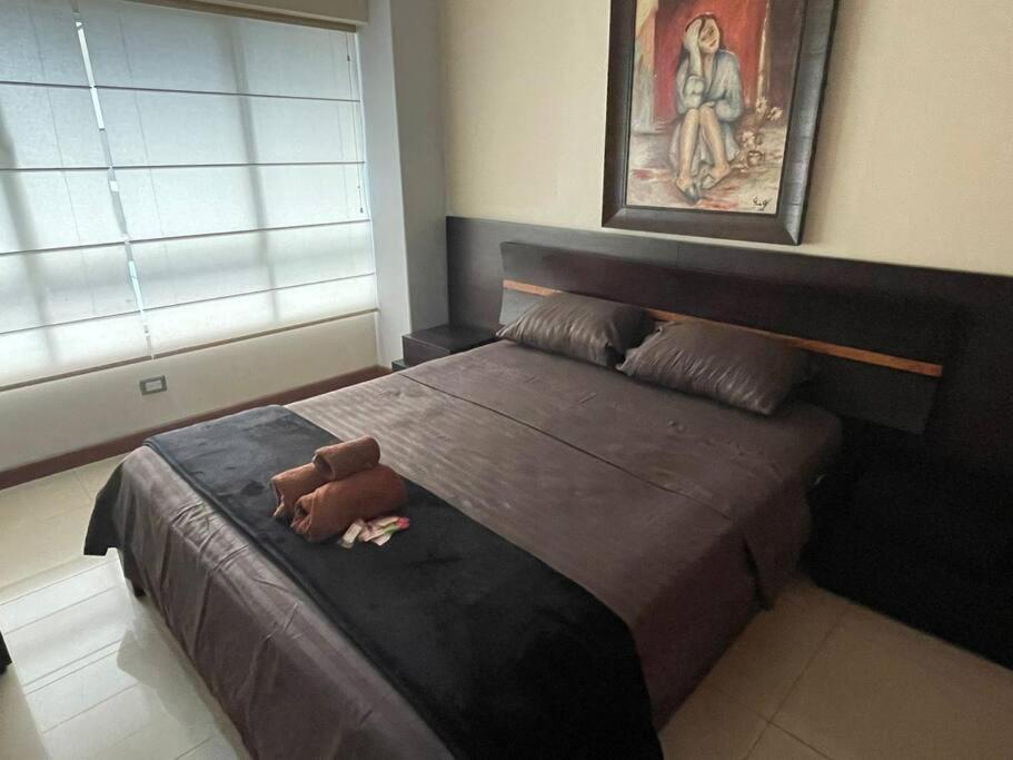 Suite 211 Quito Luaran gambar